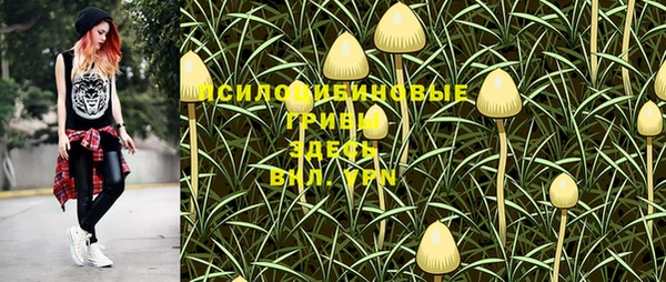 spice Абаза