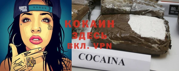 крисы Алзамай