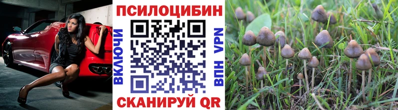 где найти наркотики  Элиста  маркетплейс официальный сайт  Псилоцибиновые грибы MAGIC MUSHROOMS 