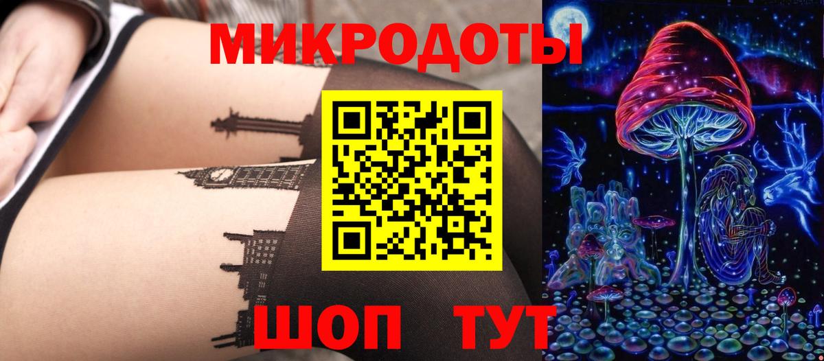 закладка  Вход с VPN  Элиста  Псилоцибиновые грибы Psilocybe 