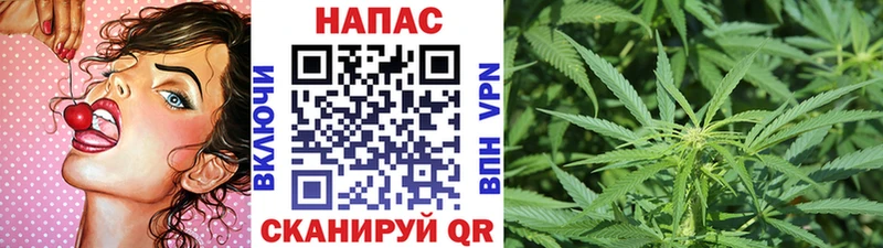 как найти закладки  Элиста  Шишки марихуана тримм 