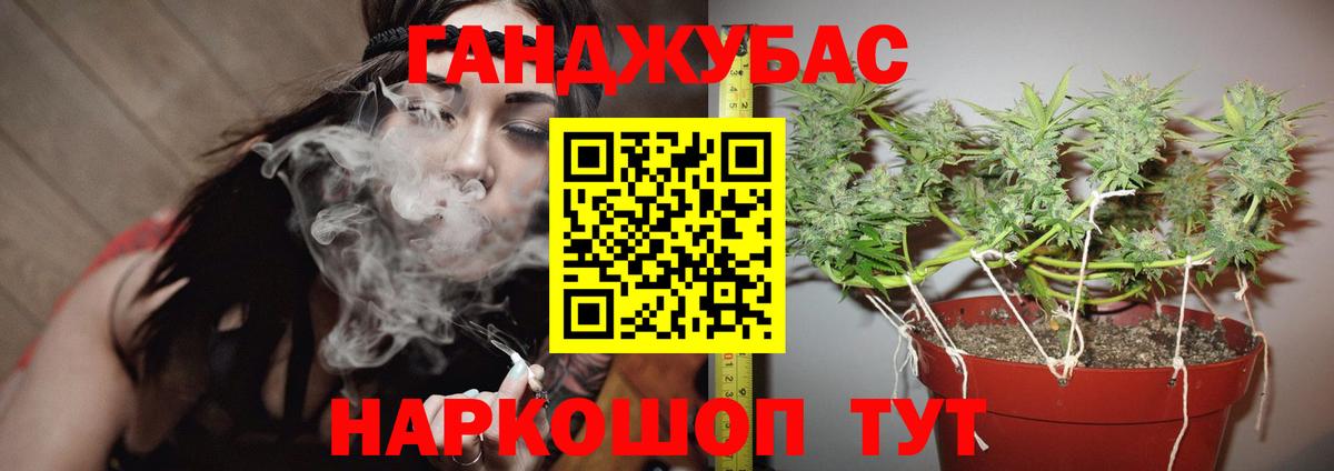 МАРИХУАНА семена Элиста